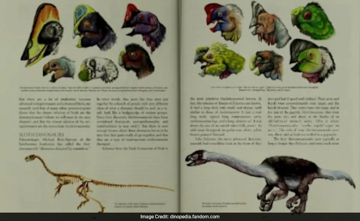 Единбург oviraptorosaurs са странни динозаври които приличат на птици без