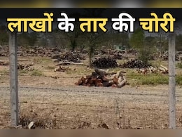 Sehore News: वन कर्मी ने पहले गायब कर दी लाखों रुपये की तार फेंसिंग, फिर खुद ही दर्ज कराई फर्जी रिपोर्ट... जानें-पूरा मामला