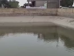 बीकानेर में पानी का संकट, CM भजनलाल के दौरे पर जाते ही नहर में बढ़ गया पानी; अगले ही दिन से घटने लगा जल स्तर बीकानेर में पानी का संकट, CM भजनलाल के दौरे पर जाते ही नहर में बढ़ गया पानी; अगले ही दिन से घटने लगा जल स्तर