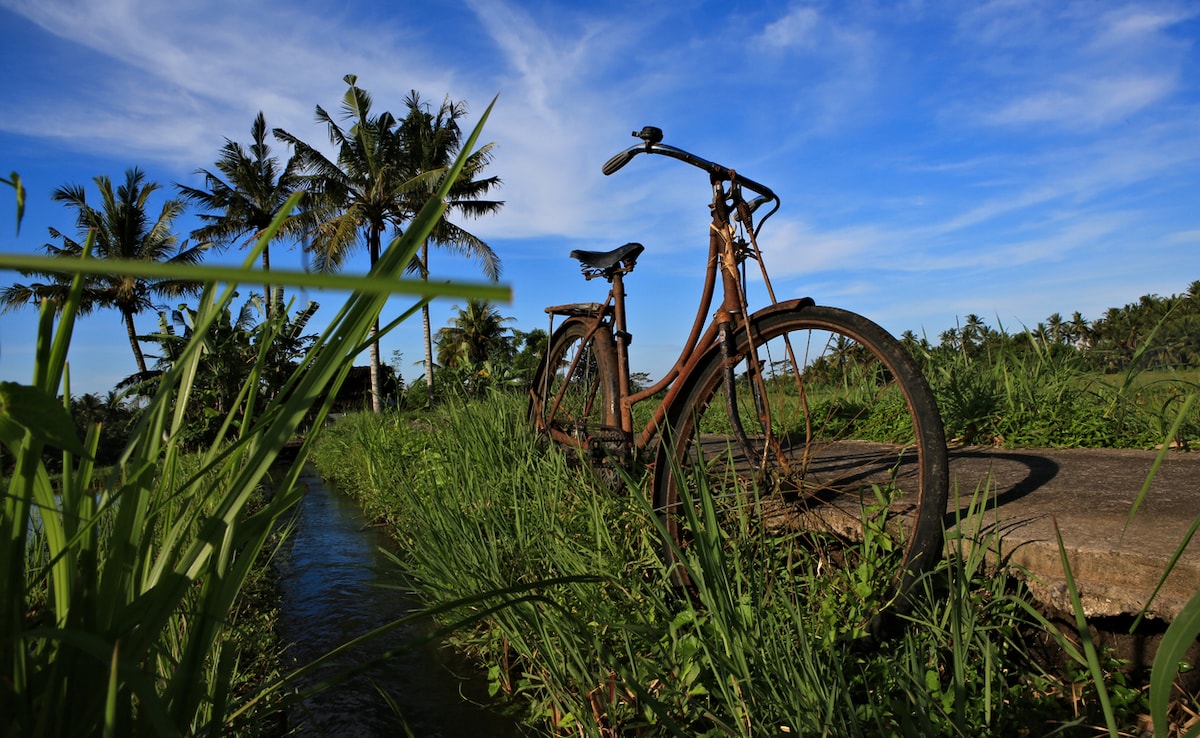 Уморихте се да се състезавате през маршрути и натъпкани във