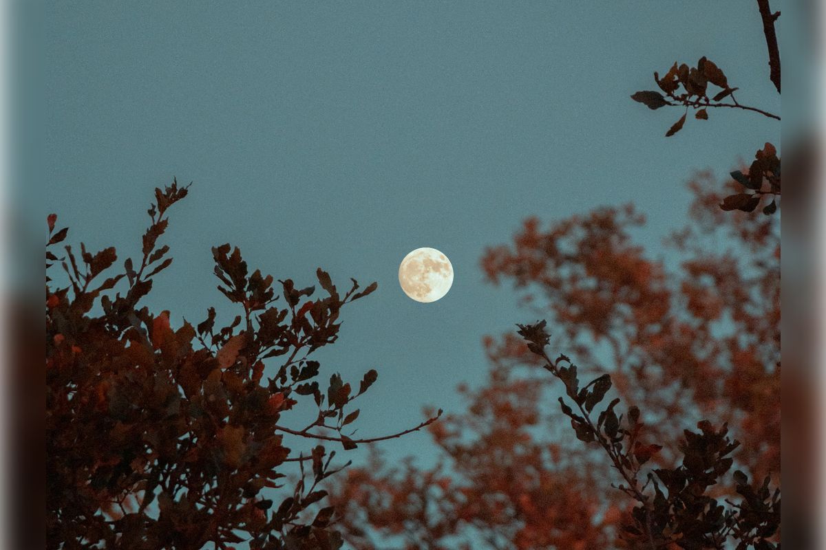 Harnessing the Power of the Full Moon: Rituals for Emotional Healing