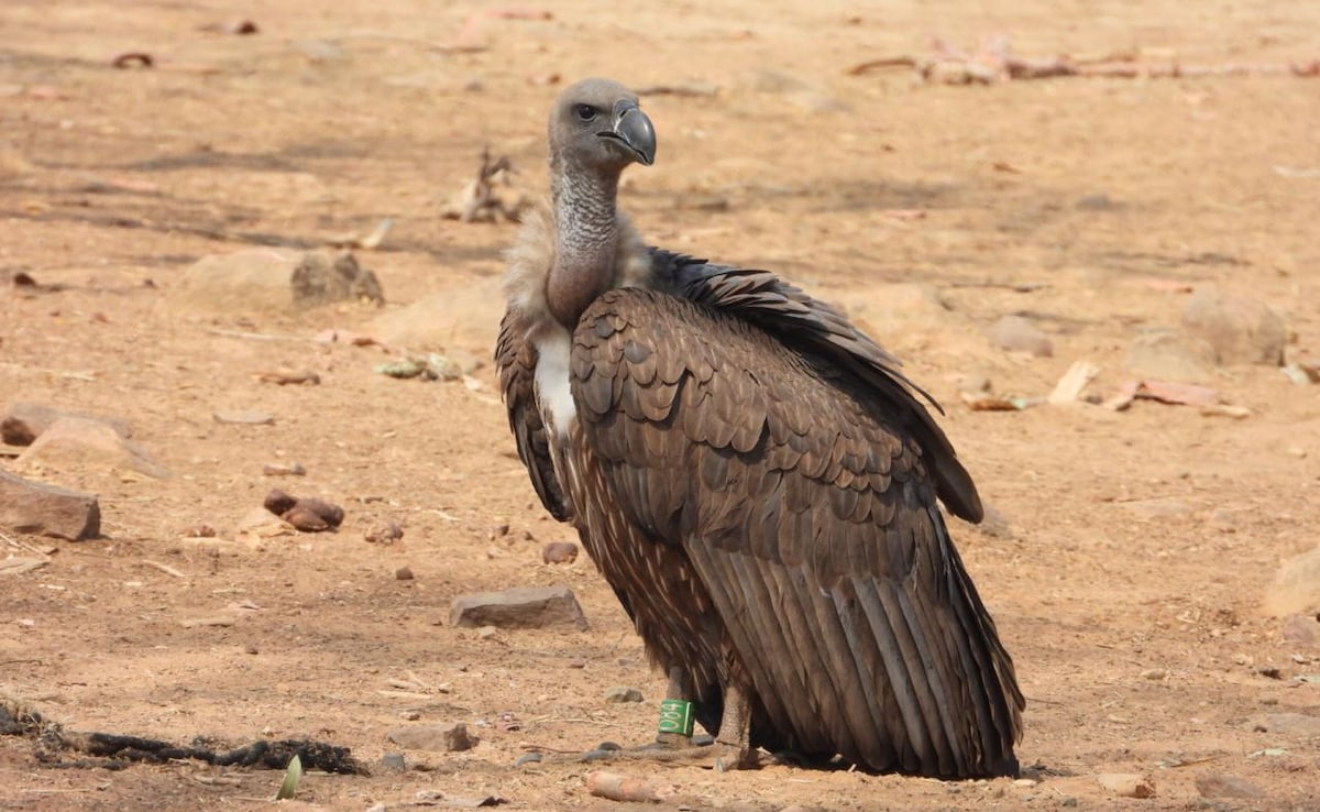 Latest and Breaking News on NDTV Latest and Breaking News on NDTV