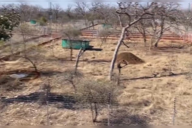 Latest and Breaking News on NDTV Latest and Breaking News on NDTV