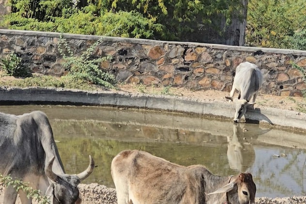 अनदेखी का शिकार हो रहा तालाब अनदेखी का शिकार हो रहा तालाब
