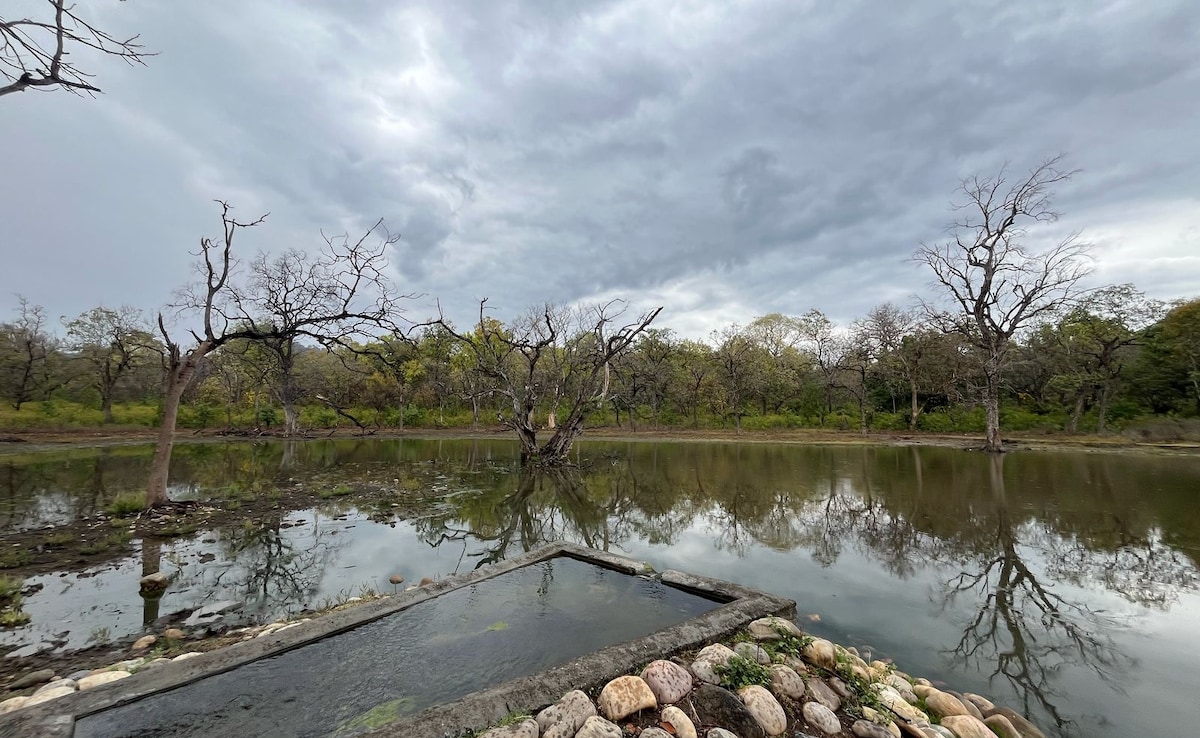 (राजाजी नेशनल पार्क में बनाए गए बड़े-बड़े जलाशय0 (राजाजी नेशनल पार्क में बनाए गए बड़े-बड़े जलाशय0