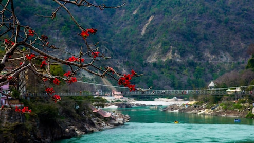 Delhi Man Falls Into Ganga From Rishikesh Bridge, Search On