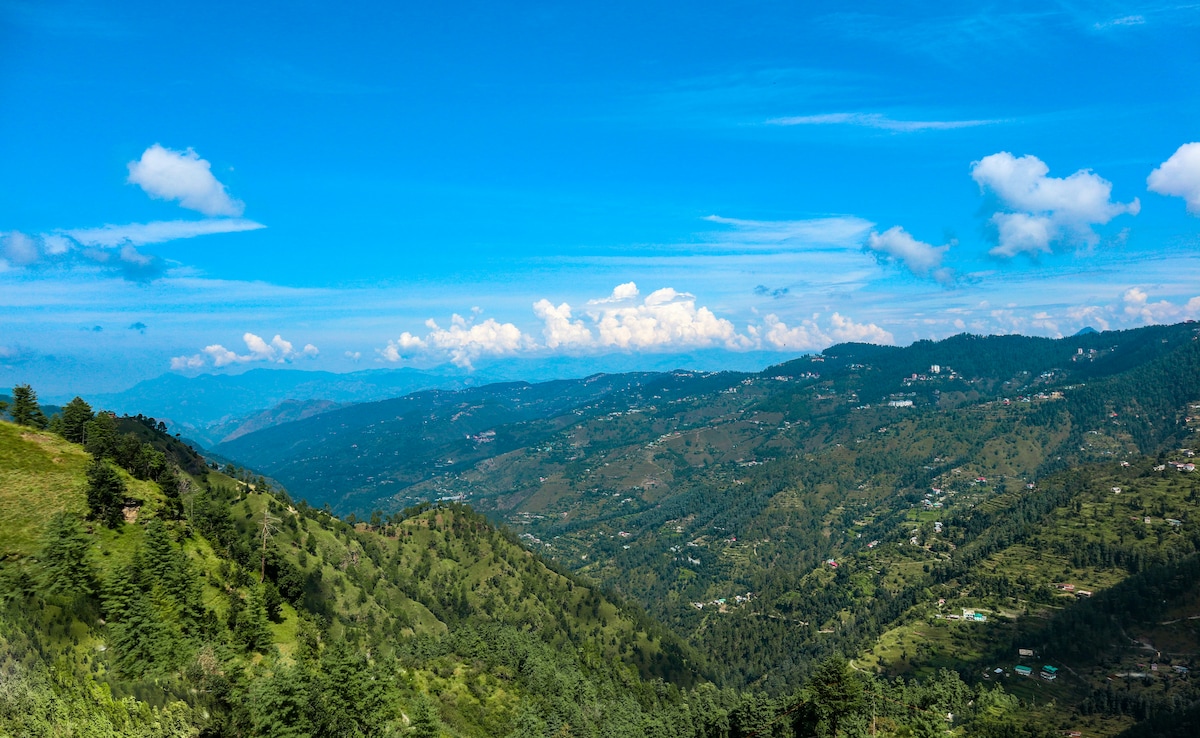 Chail. Photo: Unsplash Chail. Photo: Unsplash