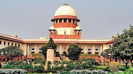 "Most Dishonourable Act Known As Honour Killing, Must Be Punished": Top Court