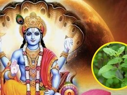 Ekadashi 2025 : अपरा एकादशी के दिन करें ये 3 खास उपाय, श्री हरि की बरसेगी कृपा सारे कष्ट होंगे दूर