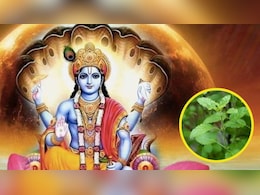 Varuthini Ekadashi 2025: वरुथिनी एकादशी पर इस विधि के साथ करें तुलसी माता की पूजा, जानें सही नियम और शुभ मुहूर्त Varuthini Ekadashi 2025: वरुथिनी एकादशी पर इस विधि के साथ करें तुलसी माता की पूजा, जानें सही नियम और शुभ मुहूर्त