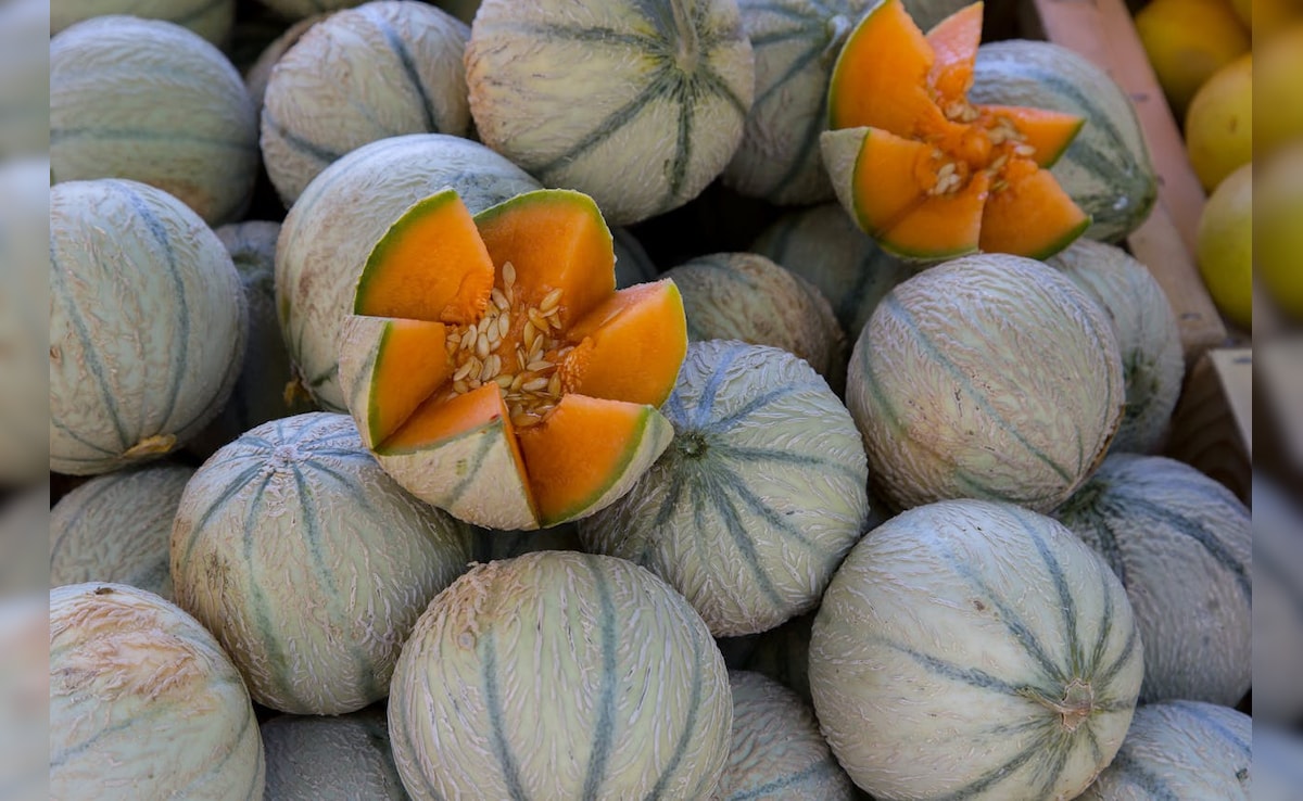 Latest and Breaking News on NDTV