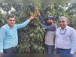 Rajasthan: बिहार ही नहीं बल्कि राजस्थान के इस जिले में भी हो रही लीची की खेती, पीएम मोदी ने भी की तारीफ