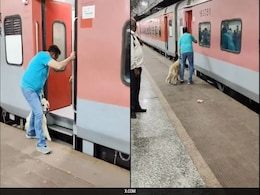 Video: Dog's Near-Death Experience On Railway Station Sparks Heated Debate On Pet Safety Video: Dog's Near-Death Experience On Railway Station Sparks Heated Debate On Pet Safety