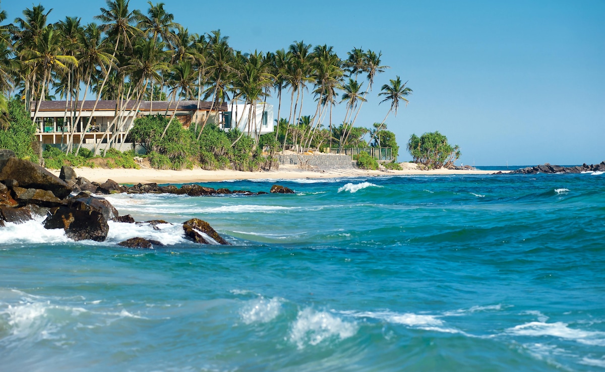 Sri Lanka. Photo: Pexels Sri Lanka. Photo: Pexels