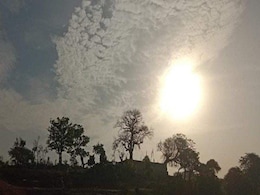 Excessive Heat: गर्मी ने आम जन से पक्षियों तक सबको किया परेशान, चढ़ते पारे में कैसे करें बचाव? Excessive Heat: गर्मी ने आम जन से पक्षियों तक सबको किया परेशान, चढ़ते पारे में कैसे करें बचाव?