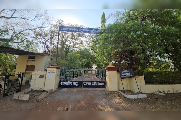 Latest and Breaking News on NDTV