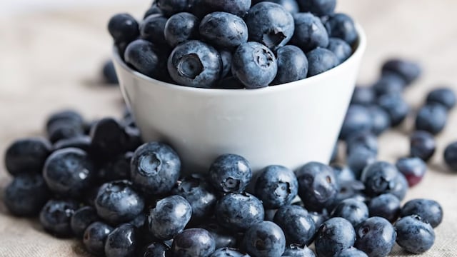 AIIMS-Trained Doctor Explains Why Blueberries Are Good For Your Brain And Gut