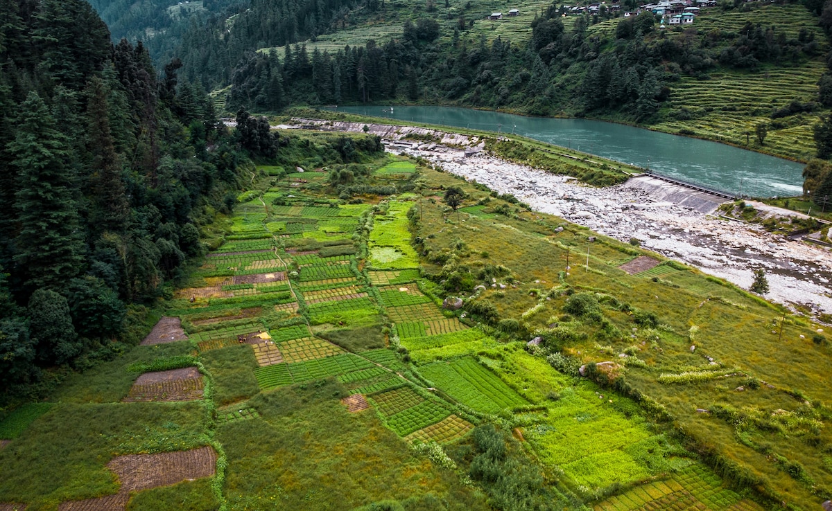 Barot. Photo: Unsplash Barot. Photo: Unsplash