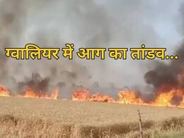 Gwalior में आग का तांडव, 100 बीघा गेहूं की फसल जलकर राख, किसानों को लाखों का नुकसान Gwalior में आग का तांडव, 100 बीघा गेहूं की फसल जलकर राख, किसानों को लाखों का नुकसान