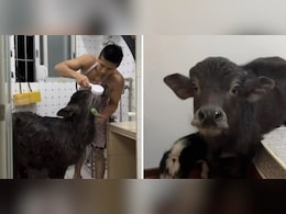 3 महीने में 3 बार बदलने पड़े घर, रूम मेट देखकर भगा देते थे मकान मालिक, लैंडलार्ड ने खोला राज 3 महीने में 3 बार बदलने पड़े घर, रूम मेट देखकर भगा देते थे मकान मालिक, लैंडलार्ड ने खोला राज