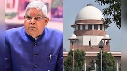 "Nuclear Missile Against...": Vice-President's All-Out Attack On Top Court