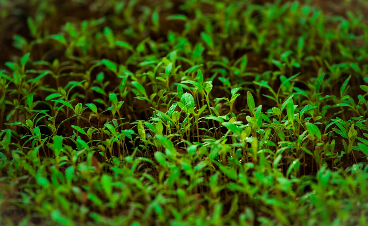 изпитвате ли умора замаяност задух и болезнени периоди Според най