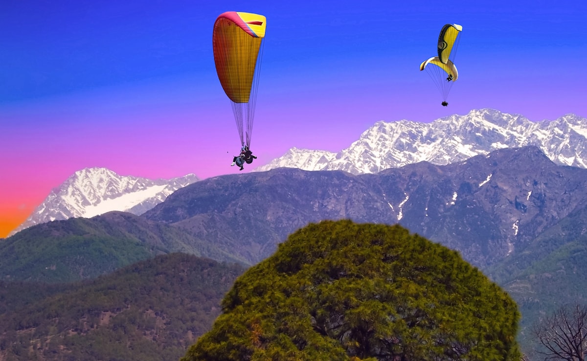 Latest and Breaking News on NDTV