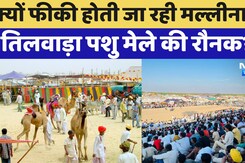 Mallinath Tilwara Cattle Fair की रौनक क्यों होती जा रही है फीकी ? Mallinath Tilwara Cattle Fair की रौनक क्यों होती जा रही है फीकी ?