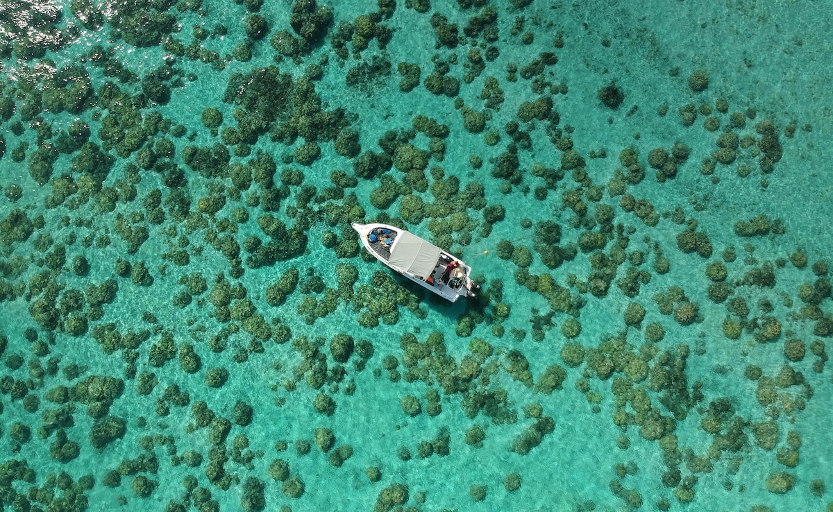 Mauritius. Photo: Pexels Mauritius. Photo: Pexels