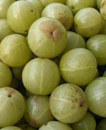 7 Health Benefits Of Amla Juice In Winter