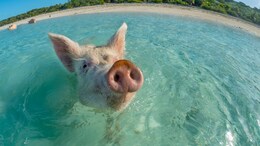 7 Wildly Unique Beaches Around The World For Your Bucket List