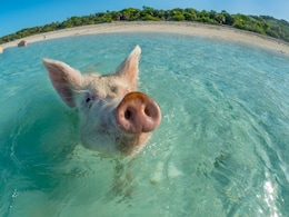 7 Wildly Unique Beaches Around The World For Your Bucket List 7 Wildly Unique Beaches Around The World For Your Bucket List