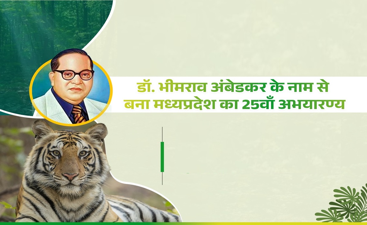 Dr Bhimrao Ambedkar: अंबेडकर जयंती से पहले MP सरकार का ऐलान, 25वीं वाइल्डलाइफ सेंचुरी बाबा साहेब के नाम पर