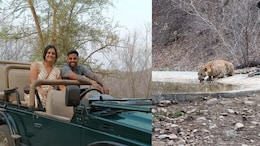 सैर पर न&zwj;िकले क्रिकेटर सूर्यकुमार और उनकी पत्&zwj;नी, सामने आ गया तेंदुआ; यूजर बोले- भाई भाग जाओ &nbsp;