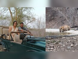 सैर पर न‍िकले क्रिकेटर सूर्यकुमार और उनकी पत्‍नी, सामने आ गया तेंदुआ; यूजर बोले- भाई भाग जाओ  