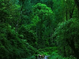 Anand Mahindra Celebrates Chikkamagaluru's Rich History Of Coffee's Introduction To India