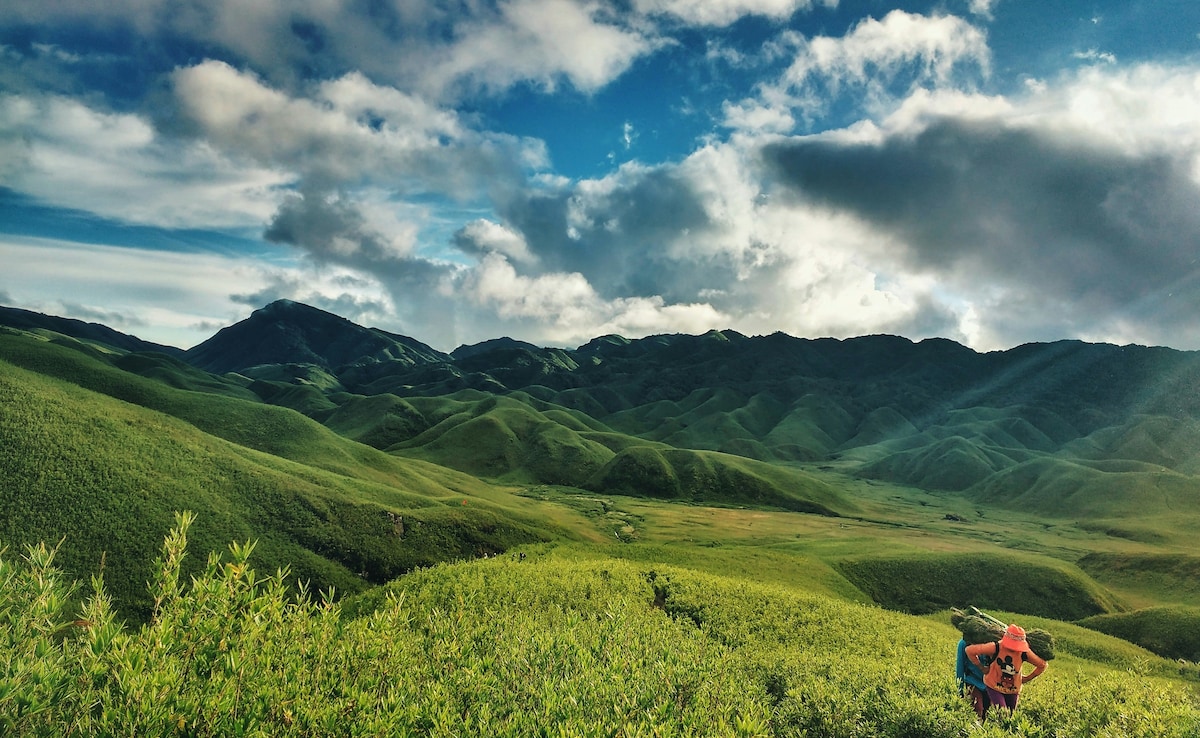 Photo: Unsplash Photo: Unsplash