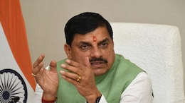 Madhya Pradesh To Launch Campaign Against <i>'Makhanchor'</i> Tag For Lord Krishna