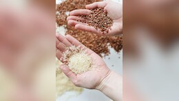 Sri Lankan Police Is Reviving Salt Contaminated Farms. Here's How