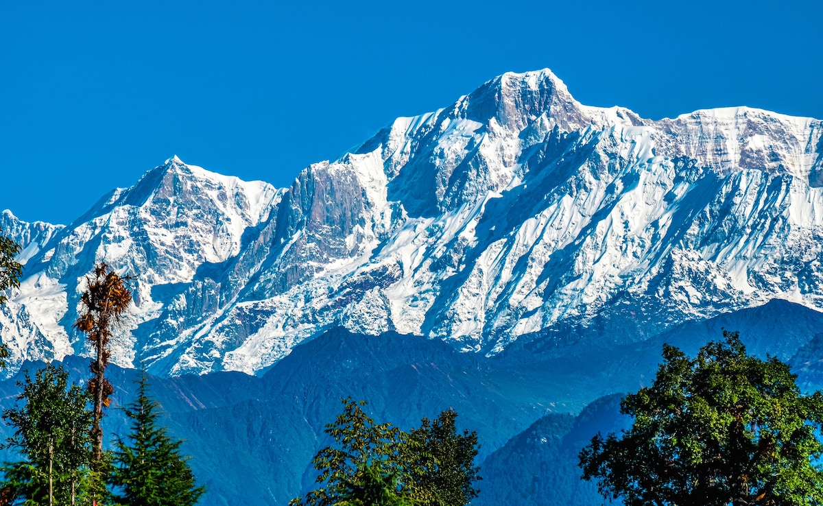 Khajjiar. Photo: Pexels Khajjiar. Photo: Pexels