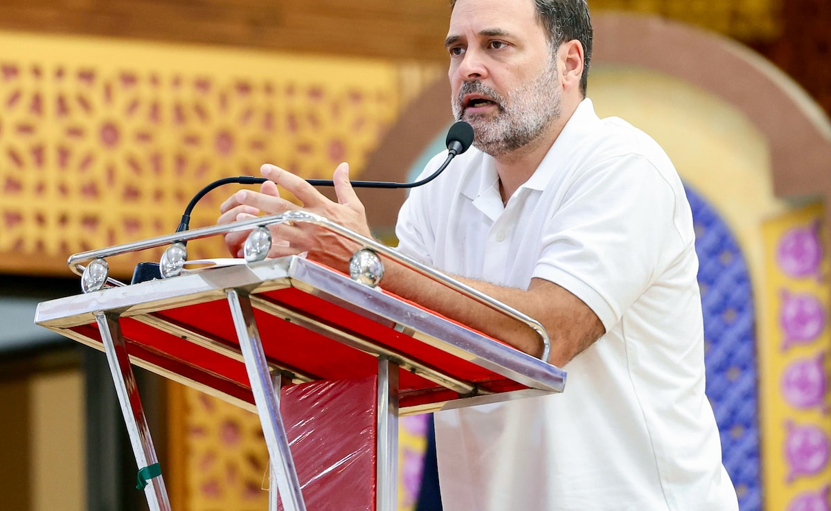 Rahul Gandhi's EC Criticism Triggers BJP's 'Soros Agent' Jabs