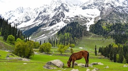 7 Fairytale Destinations In India That Look Straight Out of A Storybook
