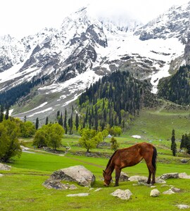 7 Fairytale Destinations In India That Look Straight Out of A ...