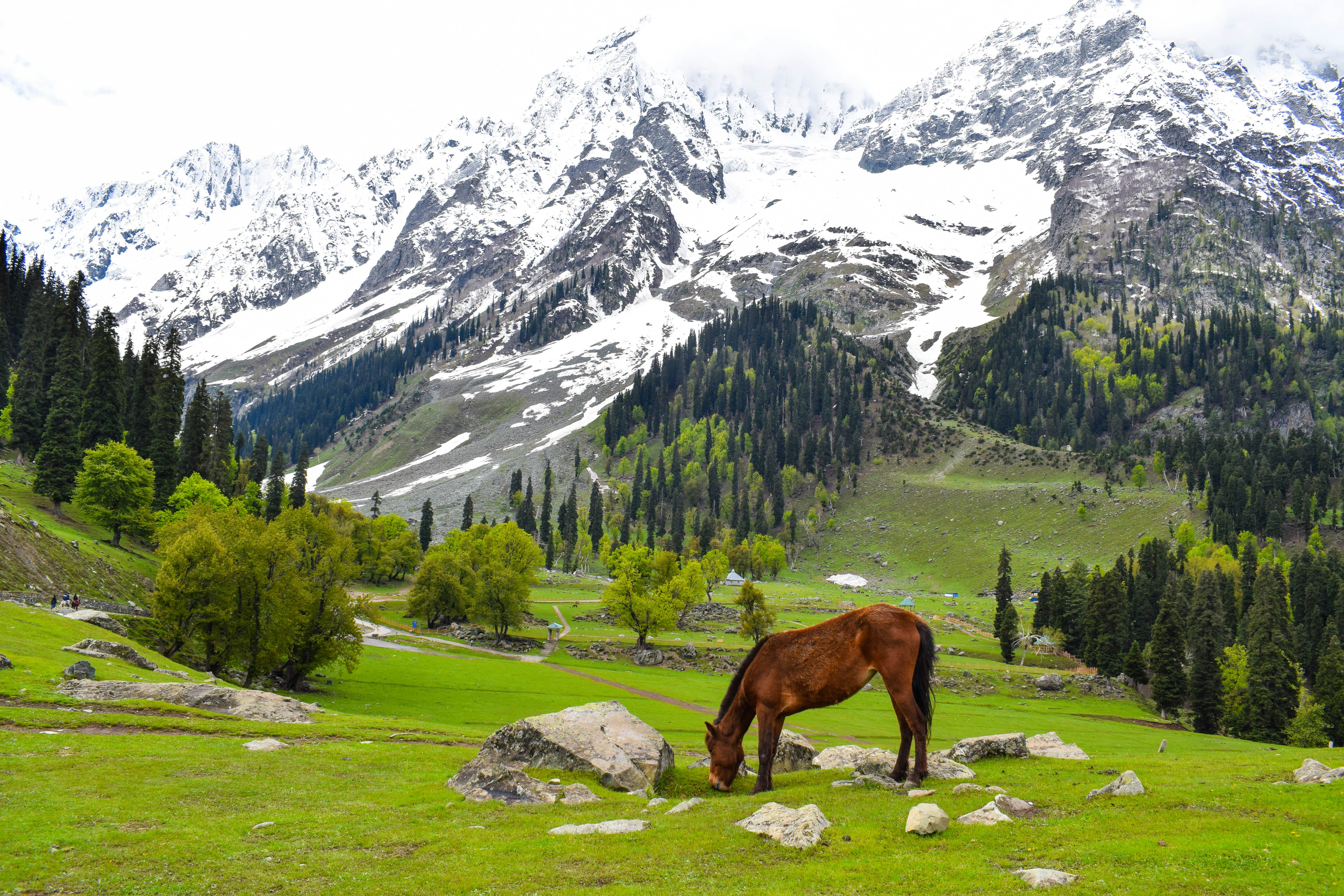 Gurez Valley. Photo: Unsplash Gurez Valley. Photo: Unsplash
