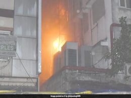 Trapped For 16 Hours, Cat Rescued From Kolkata's Fire-Hit Hotel Trapped For 16 Hours, Cat Rescued From Kolkata's Fire-Hit Hotel