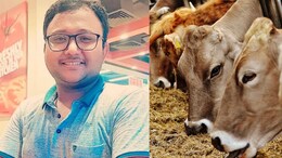 Nandurbar News : गाईच्या मृत्यूवरही कमाई, पशू वैद्यकीय अधिकाऱ्याने&nbsp;गुगल पेवरुन घेतली लाच