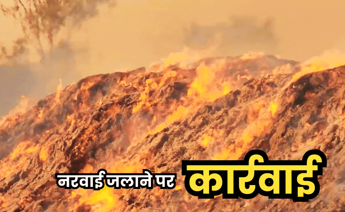 Action Against Stubble Burn: नरवाई जलाया तो जाना पड़ेगा जेल, रायसेन के 16 किसानों पर FIR दर्ज