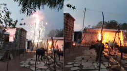 Sparks, Smoke, Panic: Power Chaos In Karnataka Village Damages 100 Homes