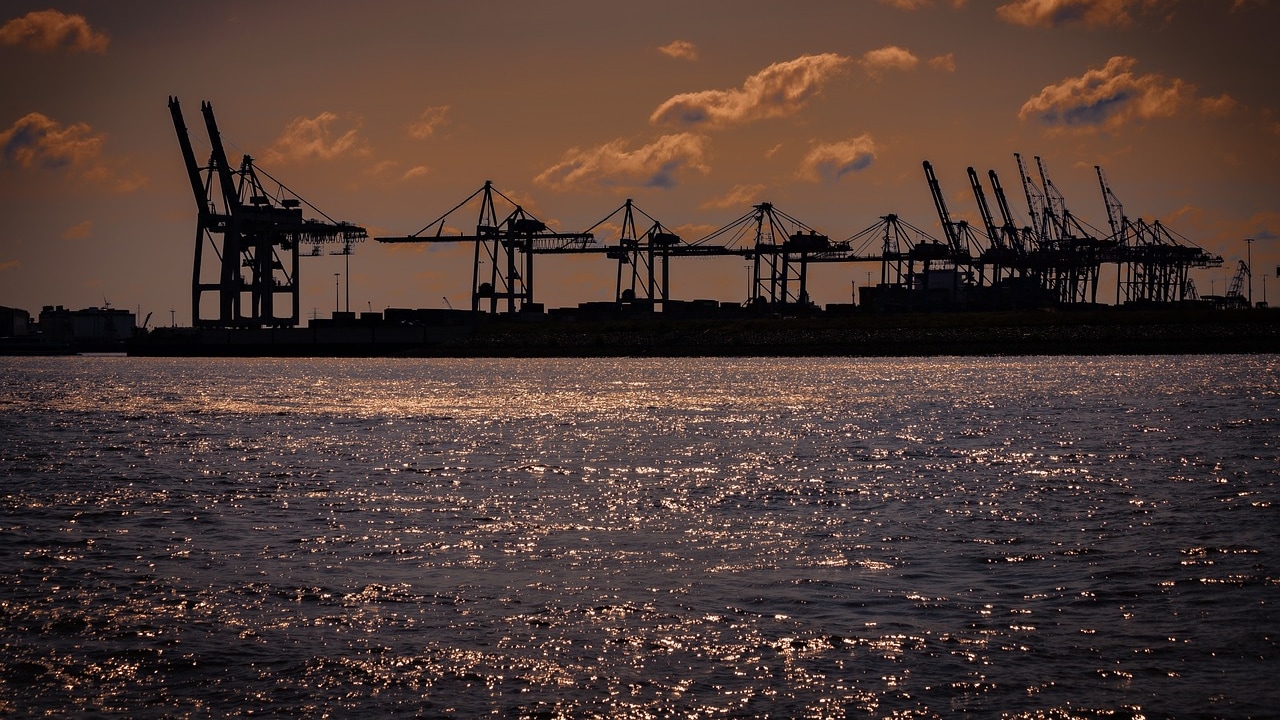 'Gateway To Expand Into Mideast': Oman Pitches New Port For Indian Businesses