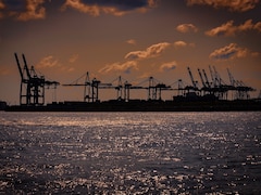'Gateway To Expand Into Mideast': Oman Pitches New Port For Indian Businesses